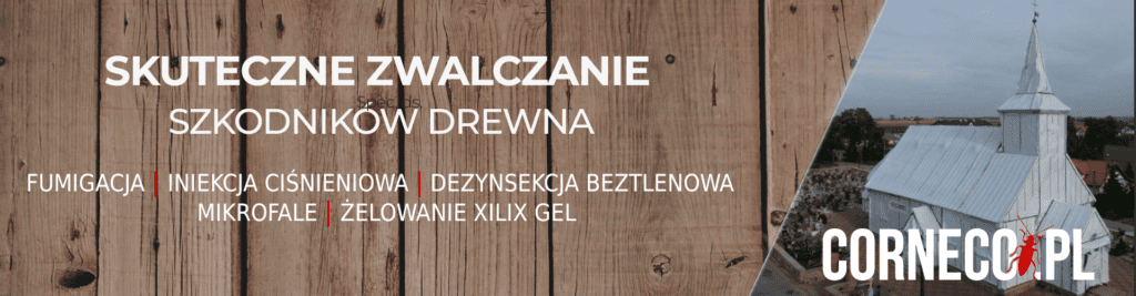 corneco infografika