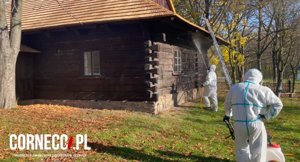 preparaty na korniki jakie najskuteczniejsze