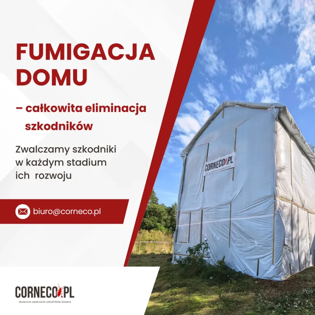 fumigacja domu corneco