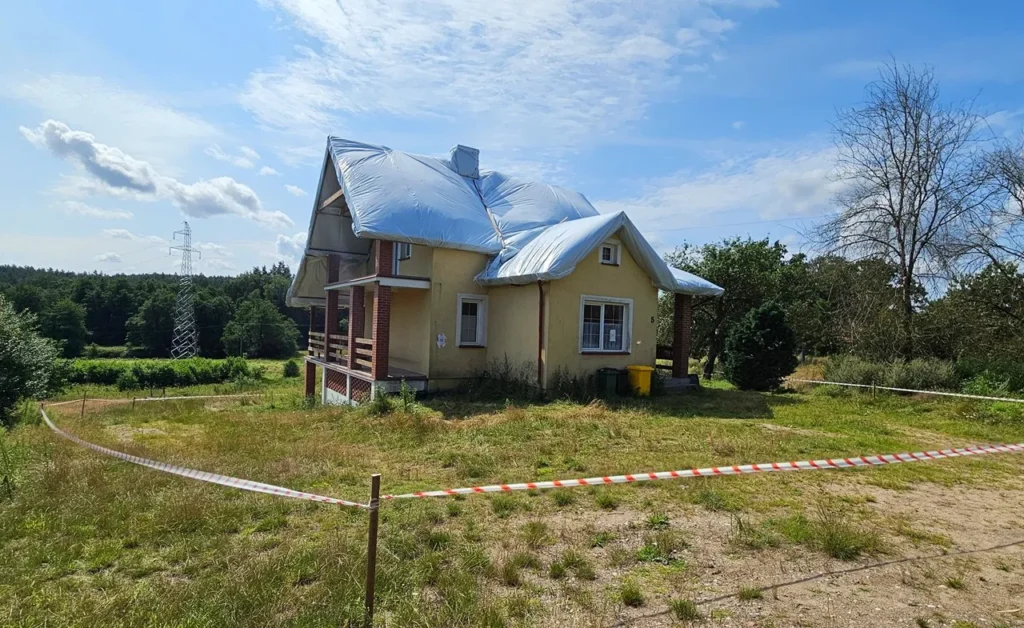 gazowanie korników w domu