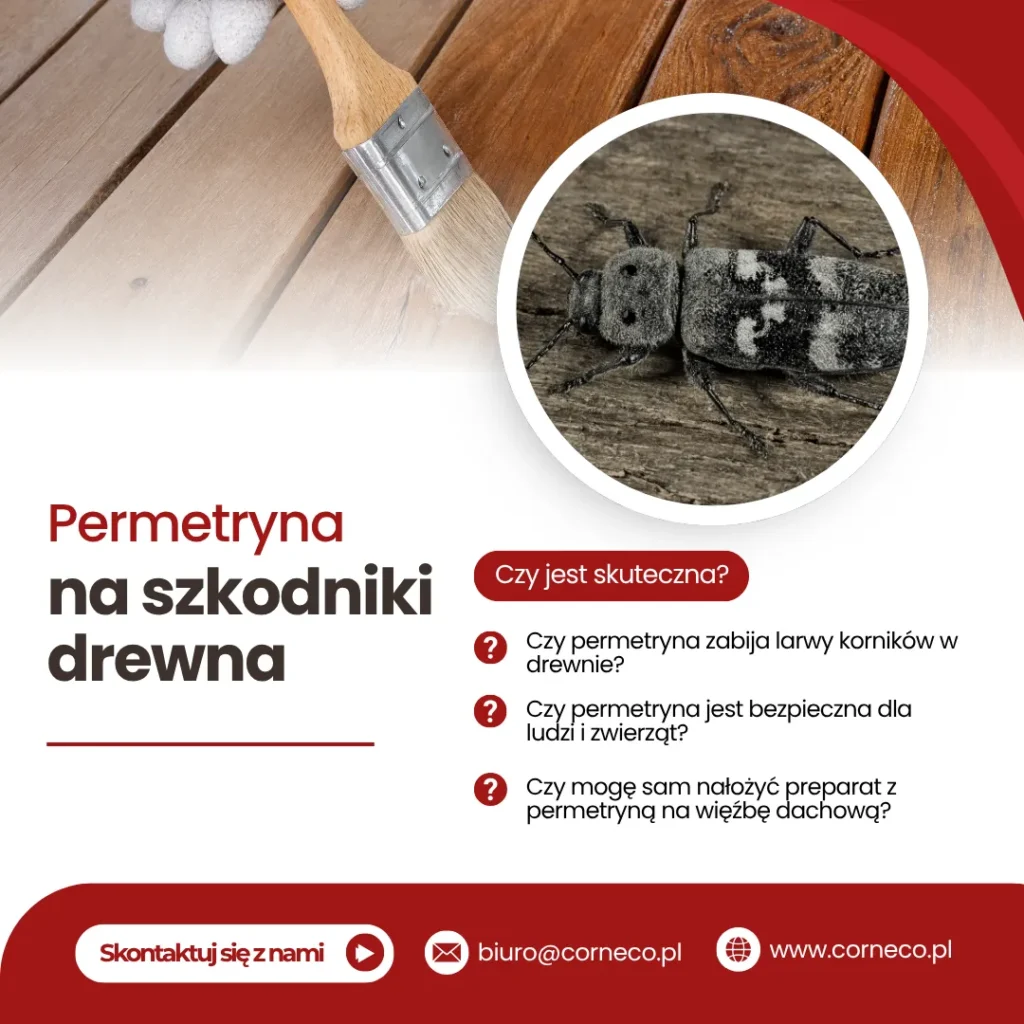 Zwalczanie szkodników drewna permetryna