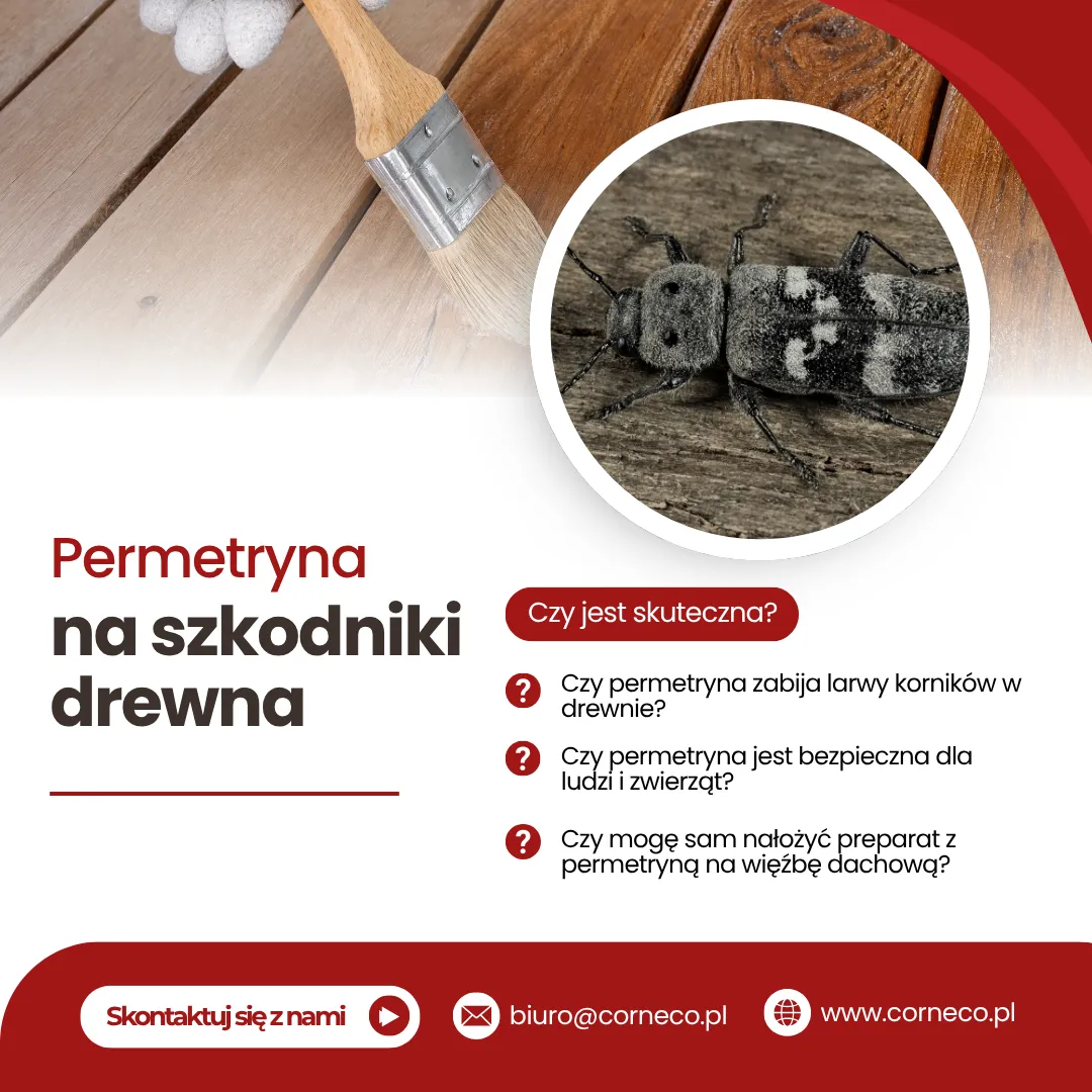 Zwalczanie szkodnik&oacute;w drewna permetryna