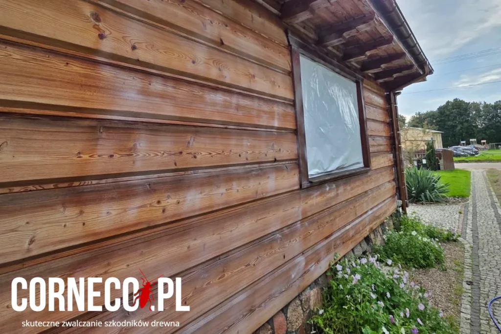 usługa impregnacji