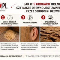 regularna kontrola drewna 5 kroków